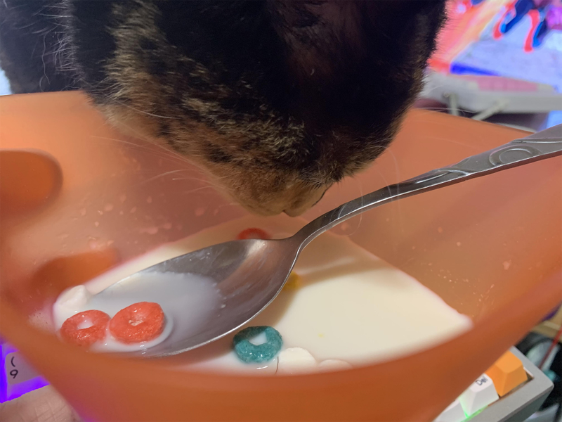 Snacktaku cat Jinx loves the cereal, but she’s stoned.